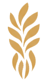 Logo Dra. Frances Coller