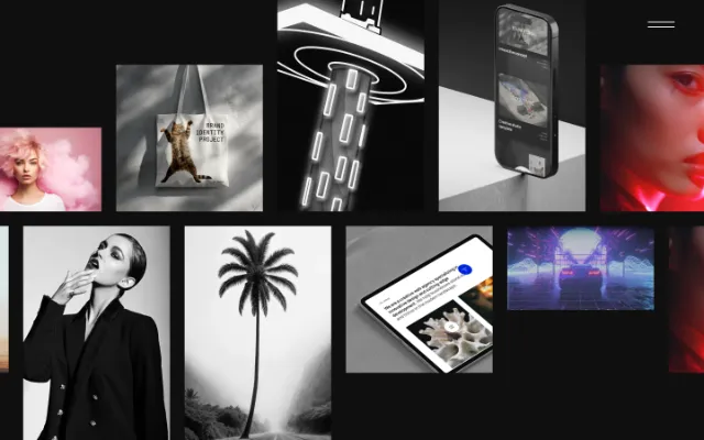 MINDSITE Template Image Example
