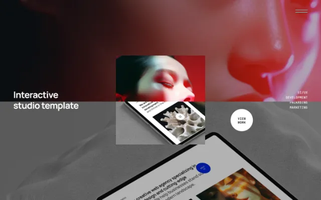 MINDSITE Template Image Example