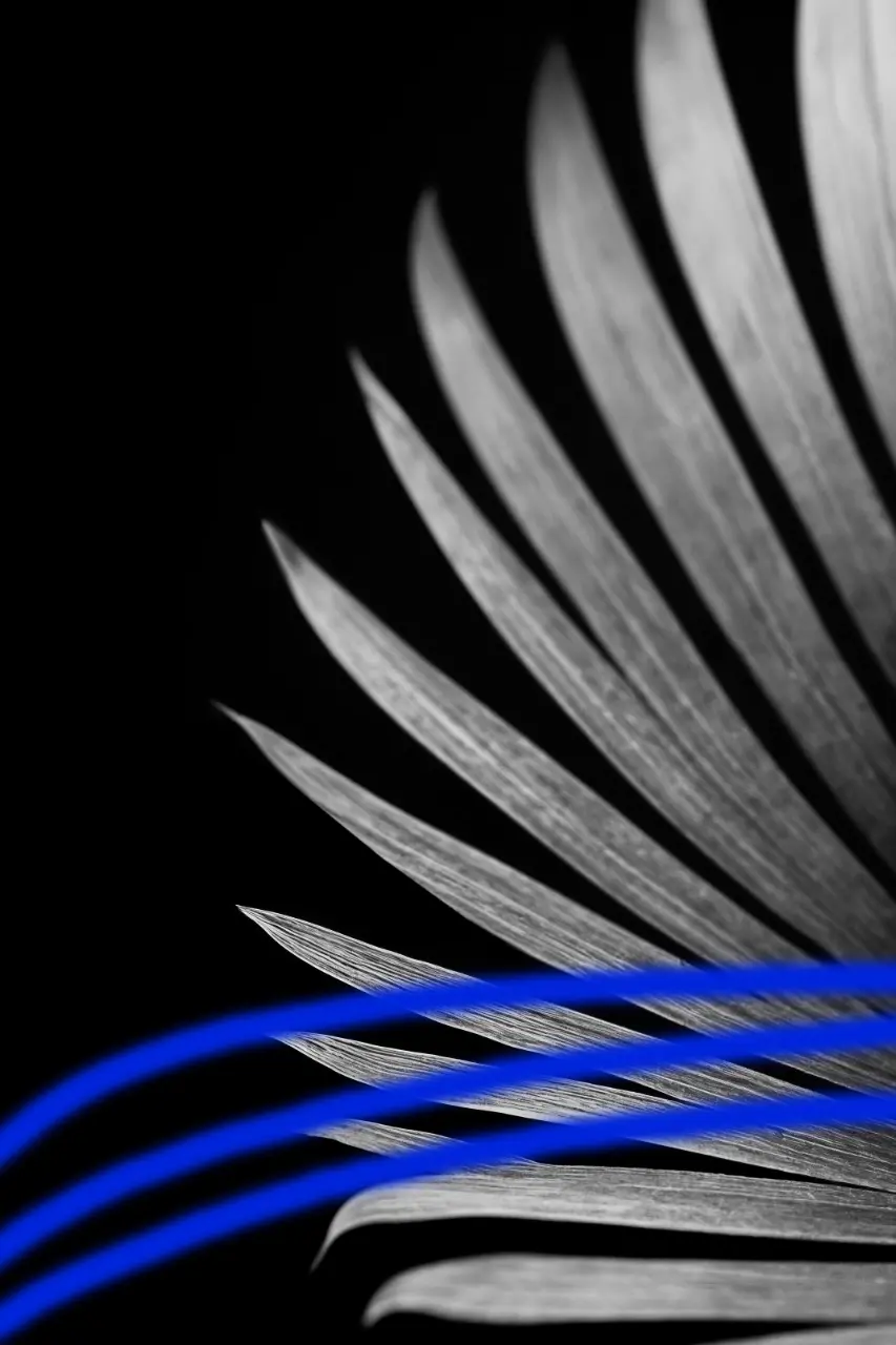 Imagem de Pré-visualização do Projeto